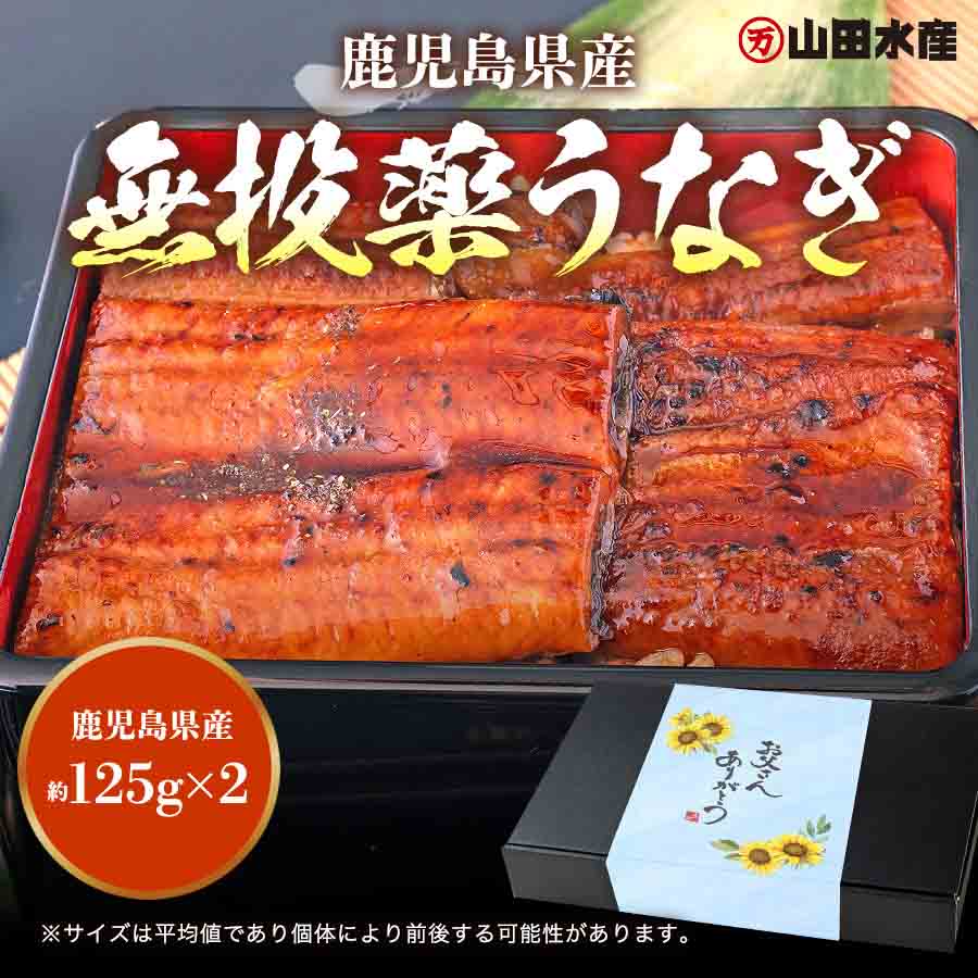 うなぎ 鹿児島県産 2尾 父の日BOX 父の日 125g×2 化粧箱入 国産 蒲焼き 長焼き 無投薬 焼き上げ 無頭 2本