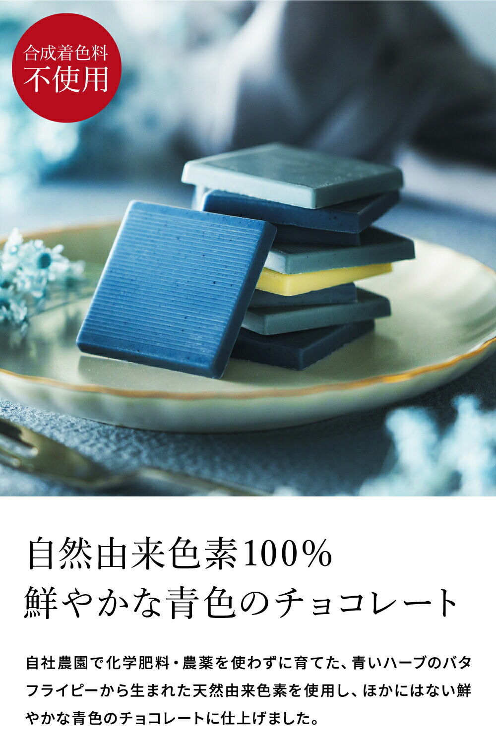 CARRE DE BLUE（カレ・ド・ブルー）幸せを呼ぶ青いチョコレート C-26 LA