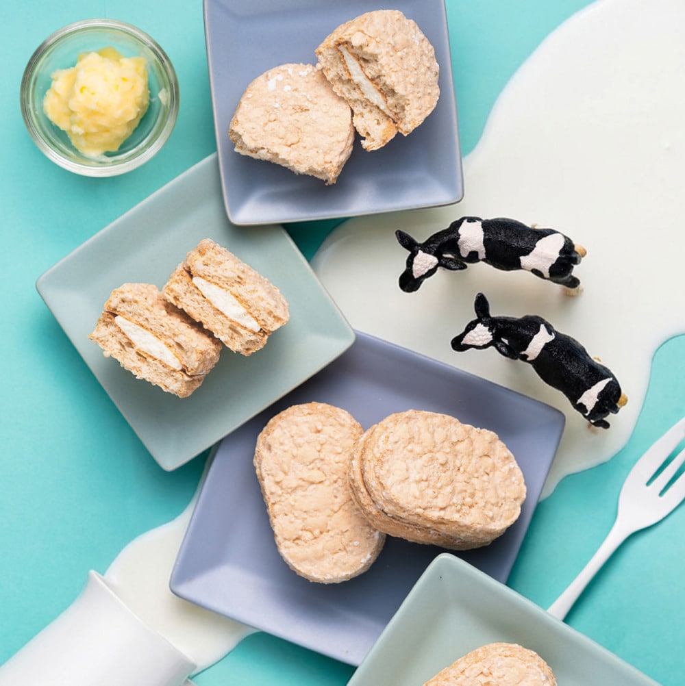 ミルキーダックワーズ 15個入 生クリーム専門店Milk ミルク ダックワーズ ミルキークリーム