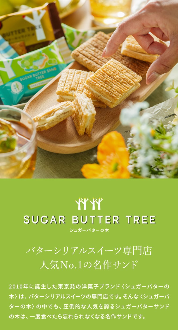 期間限定 シュガーバターサンドの木 シャインマスカットショコラ 7個入 シュガーバターの木 定番 個包装 まとめ買い sugar butter tree