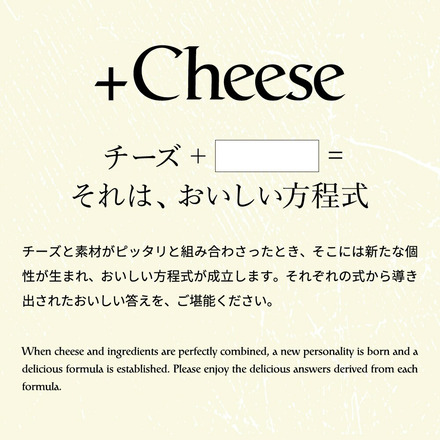 +Cheese プラスチーズ それはおいしい方程式！ 6個入り（チーズサンド6個）