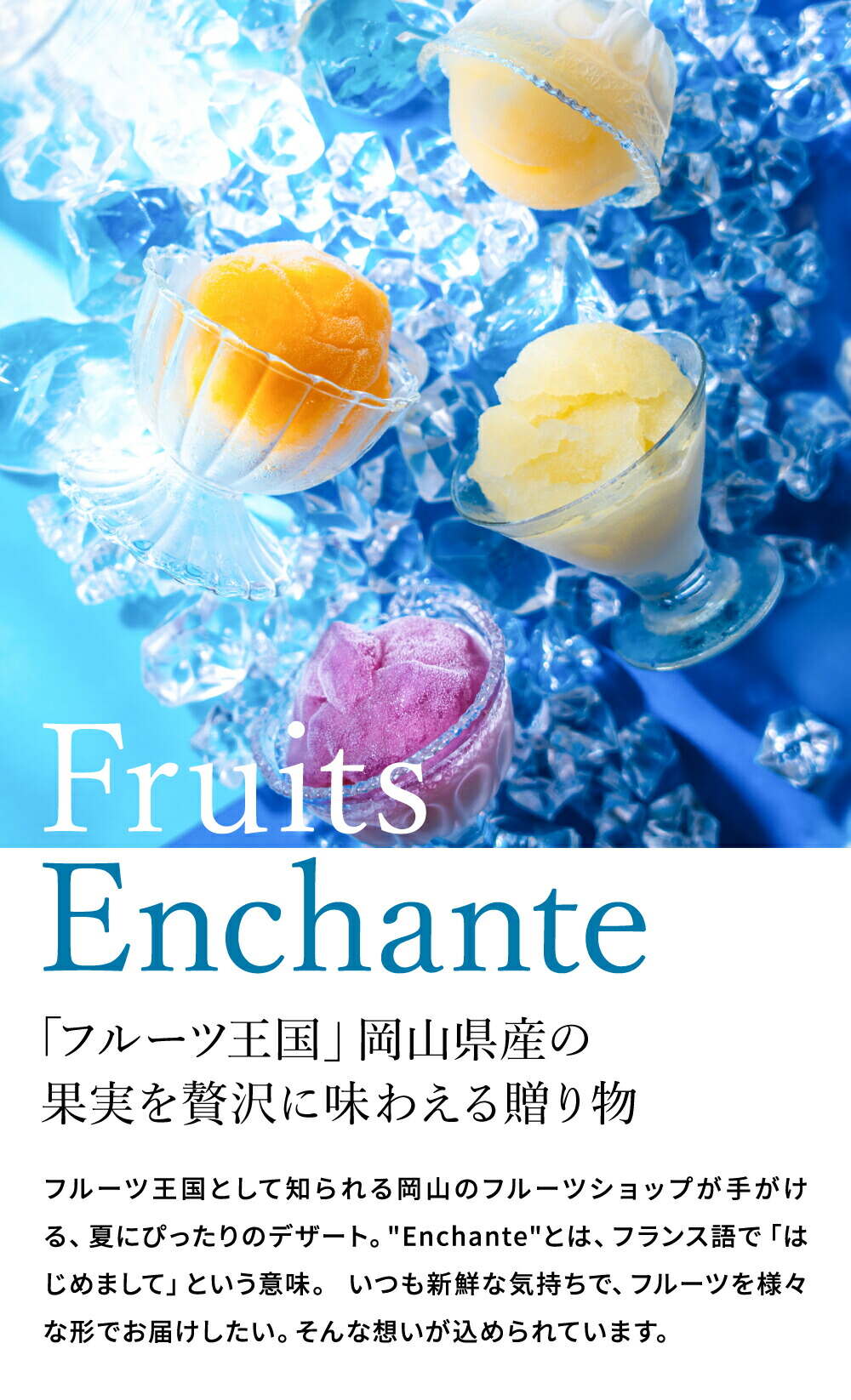 氷美果 凍らせて食べるゼリー
