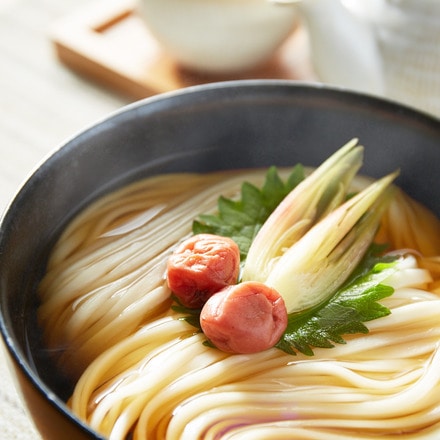 無限堂 稲庭うどん 稲庭饂飩 ギフトセット （80g×5束）