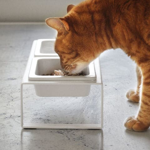 山崎実業 公式 tower ペットフードボウルスタンドセット トール タワー ホワイト 4744