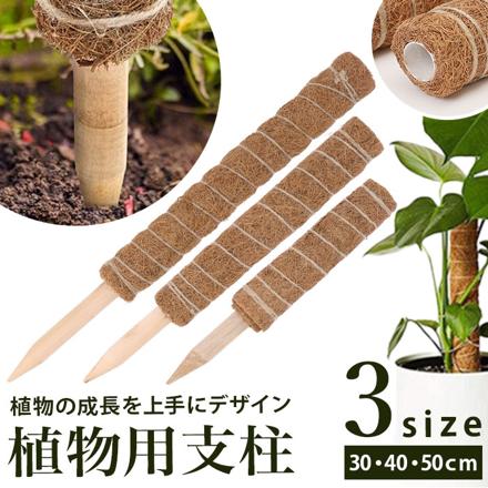 支柱 植物支柱 cn0441 50cM ブラウン