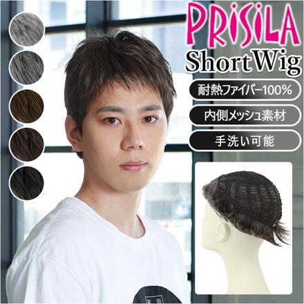 プリシラ 男性用5分ウィッグ レイヤーショート GB-22 TCK/耐熱ショコラブラック