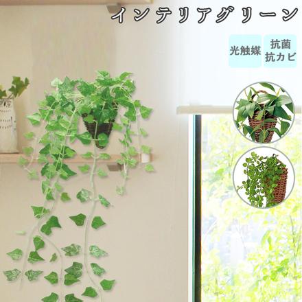 光触媒 インテリアグリーン 壁掛け 163695.アイビー