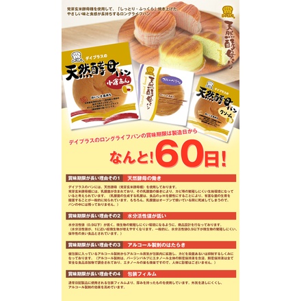 デイプラス 天然酵母パン 12種詰め合わせセット ×12個入|D-PLUS 塩バター チョコ あんパン クリームパン ジャム