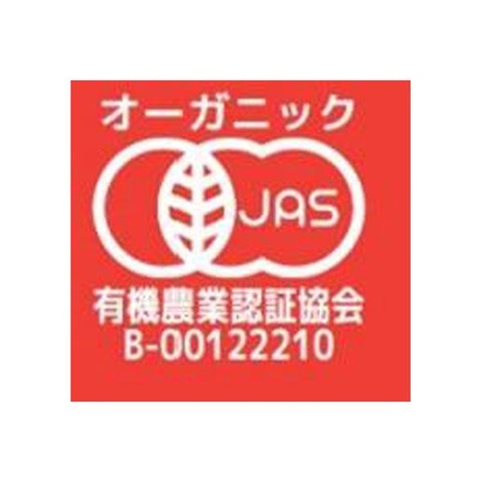 光食品 オーガニック クラフトコーラ シロップ 150ml瓶×20本入|コーラ オーガニック シロップ 有機 希釈