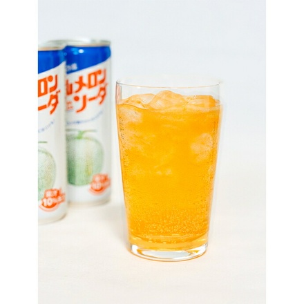 谷口農場 中山メロンソーダ 250ml缶×30本入|炭酸 飲料 北海道 富良野 メロン