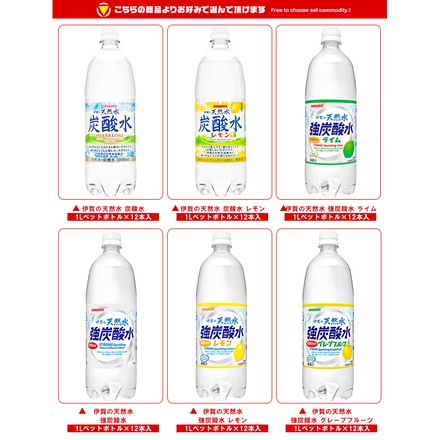 サンガリア 伊賀の天然水 炭酸水 選べる2ケースセット 1Lペットボトル×24(12×2)本入|炭酸水 炭酸 伊賀の天然水 強炭酸水 1000ml 箱買い ペットボトル 24本 サンガリア 1l