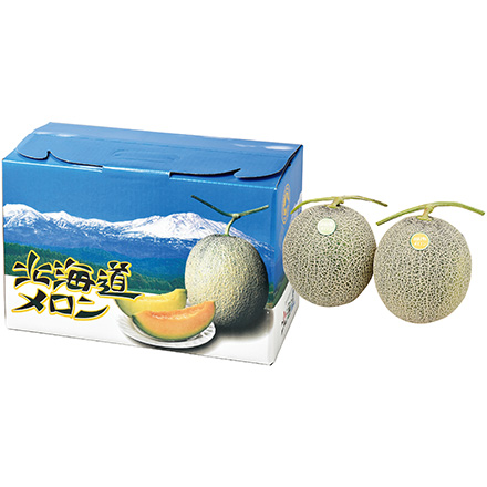 【7月中旬～8月上旬発送】北海道メロン 赤肉青肉セット 優品 約1.6kg 各1玉
