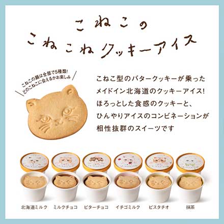 母の日 DADACA こねこのこねこねクッキーアイス 6種セット