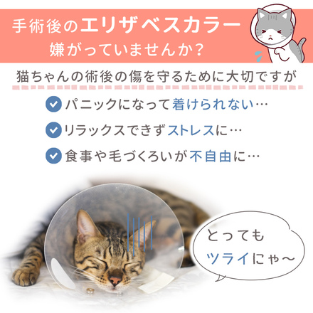 MILASIC 猫 術後 ウェアー ブルー Sサイズ TN-PACH-BU-S