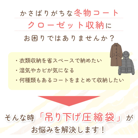 mitas 衣類圧縮袋 10枚セット 吊るせる クローゼット 収納 ハンガー TN-CCPG-F Fタイプ