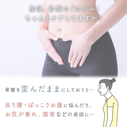 MILASIC ウエストニッパー 骨盤ベルト 2点セット ピンク Ｌサイズ TN-PEVBT-PK-L