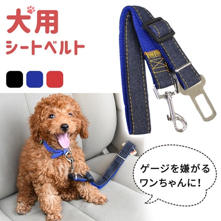 mitas 犬用 シートベルト リード ER-DGSB-BU ブルー