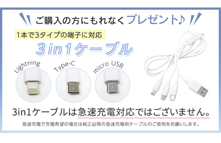 mitas ACアダプター 2.4A 2ポート USB 急速充電 プレゼント付き ER-UALY24-LC/ER-TML3 ライラック