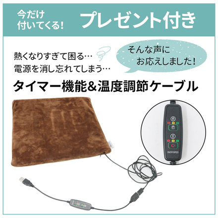 mitas あったか USB式 電気 座布団 クッション 洗える プレゼント付き ER-LUCS-BR/TN-TCABLE ブラウン