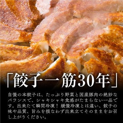 本餃子 48個 水餃子 48個 計96個