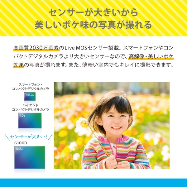 一眼カメラ ミラーレス LUMIX G100D Wキット ブラック [ズームレンズ+ズームレンズ] パナソニック DC-G100DW-K