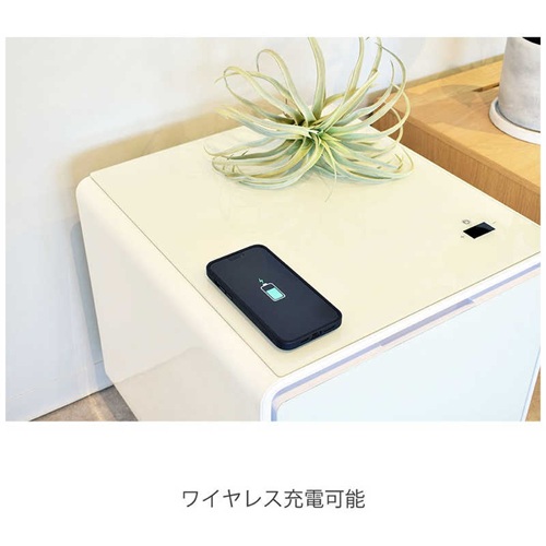 LOOZER ロイヤル STB30 SMART TABLE スマートテーブル 冷蔵庫機能付き APRICOT SAPPHIRE アプリコットサファイア インテリア家電 おしゃれ