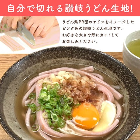 ヤドンの切り忘れ 讃岐うどん 6人前 ( 300g×2袋 )