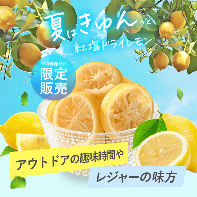 紅塩ドライレモン170g