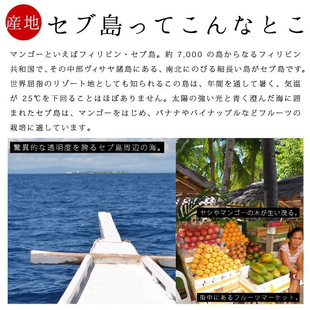 【350g】セブ島 ドライマンゴー