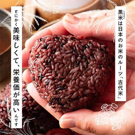 雑穀米本舗 国産 黒米 4.5kg(450g×10袋)