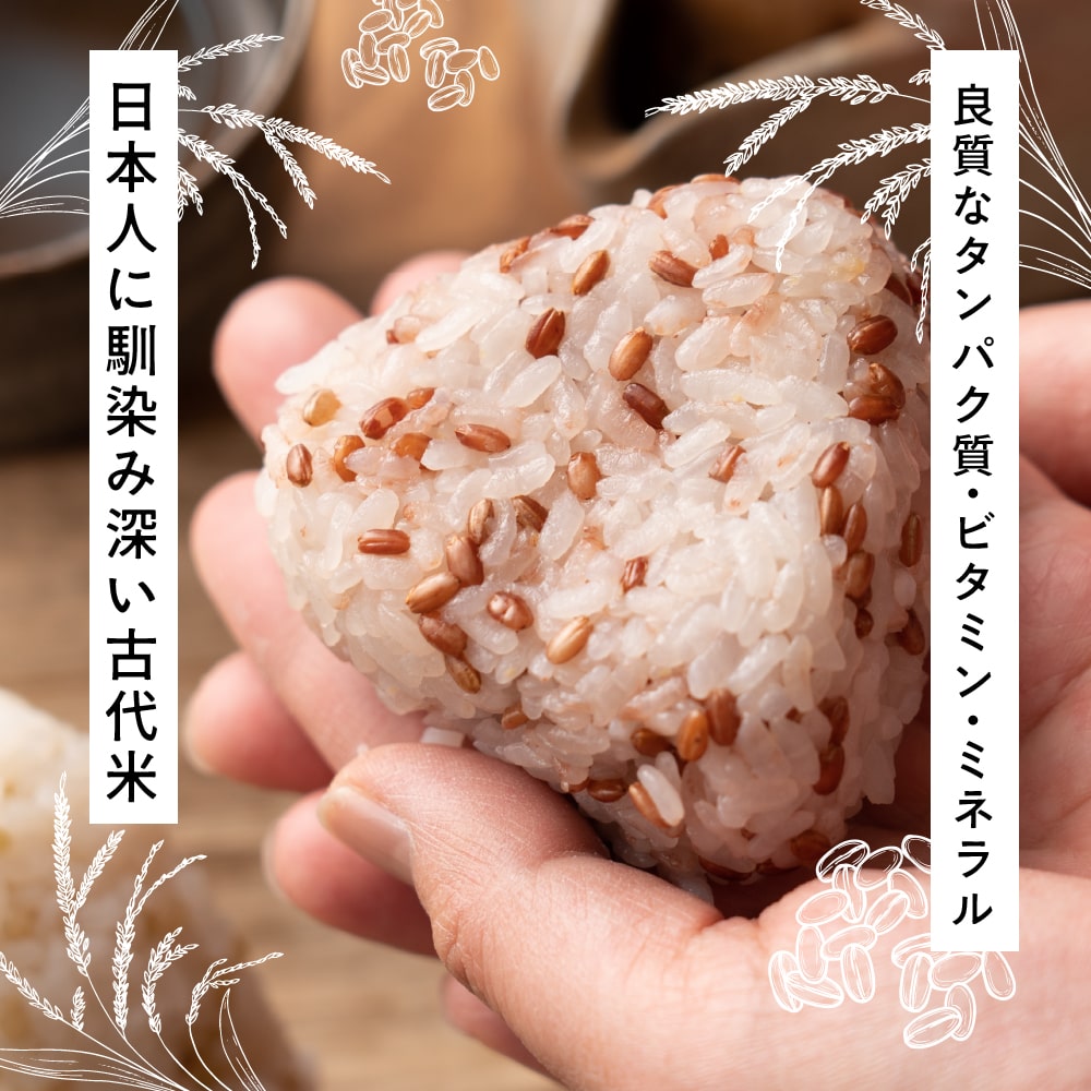 雑穀米本舗 国産 赤米 2.7kg(450g×6袋)
