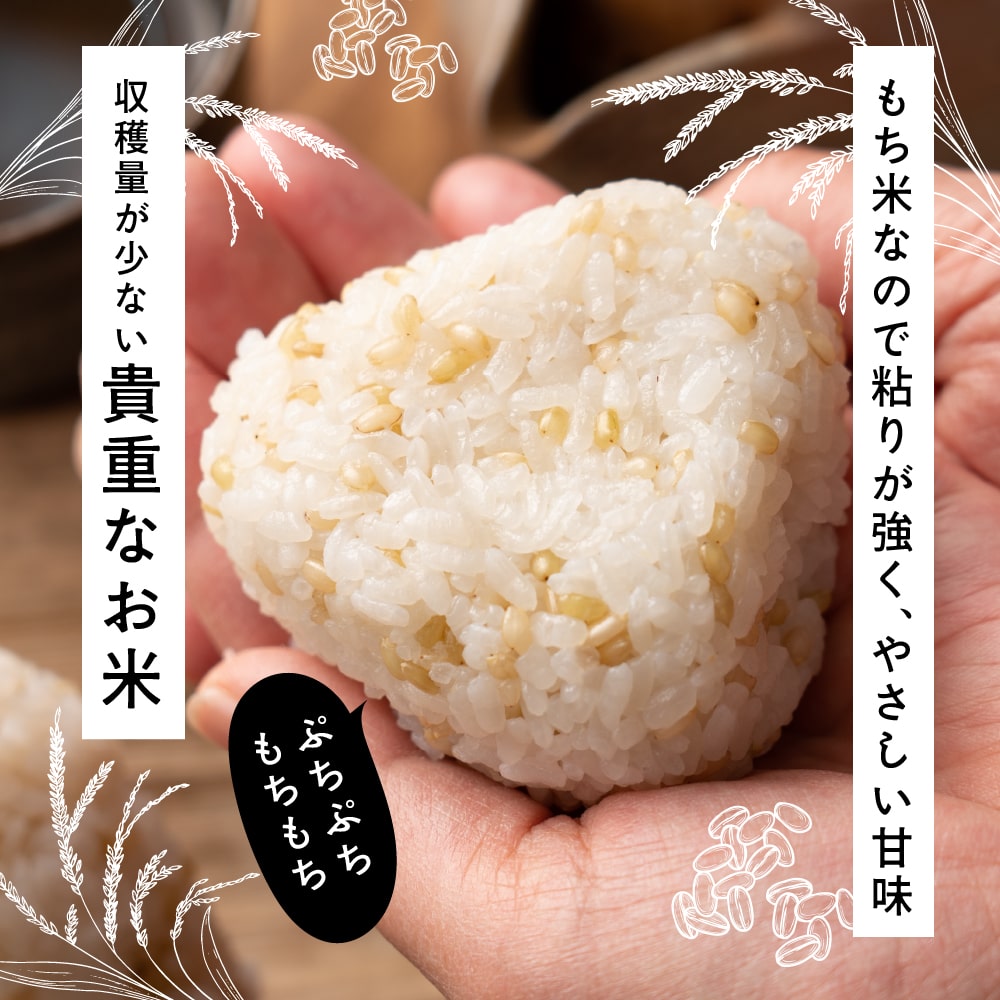 雑穀米本舗 国産 緑米 1.8kg(450g×4袋)