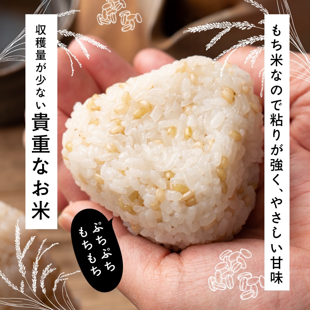 雑穀米本舗 国産 緑米 2.7kg(450g×6袋)