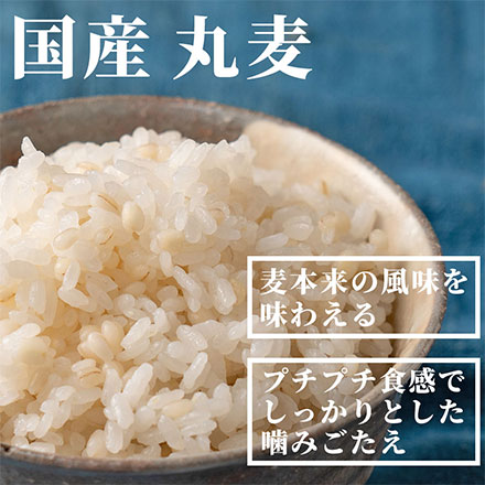 雑穀米本舗 国産 丸麦 2.7kg(450g×6袋)