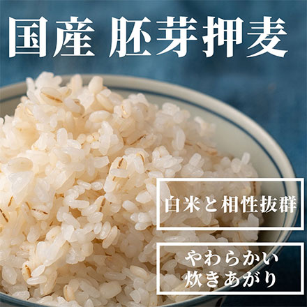 雑穀米本舗 国産 胚芽押麦 27kg(450g×60袋)
