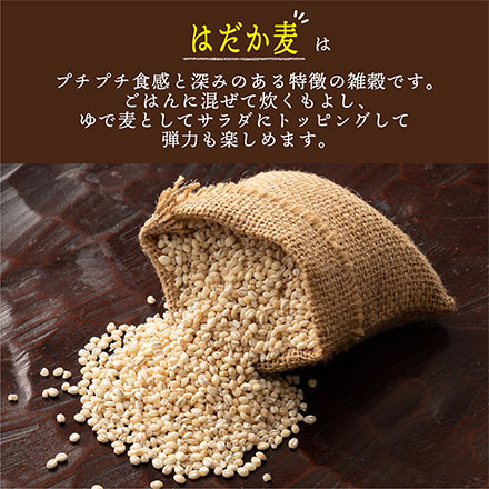 雑穀米本舗 国産 はだか麦 450g