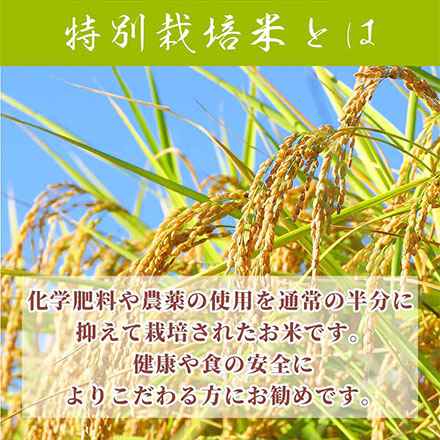 【白米】特別栽培米 丹波産 コシヒカリ 5kg