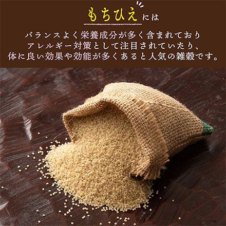 雑穀米本舗 国産 もちひえ 900g(450g×2袋)