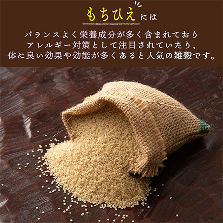 雑穀米本舗 国産 もちひえ 9kg(450g×20袋)