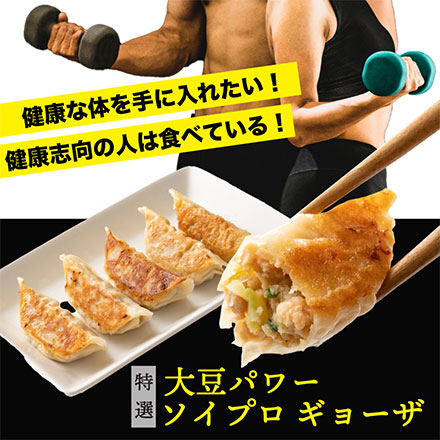しるしの大豆ミート餃子 60個入