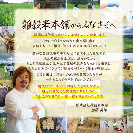 新米 【白米】静岡県掛川市上垂木産 こしひかり 20kg(5kg×4袋) 令和6年産