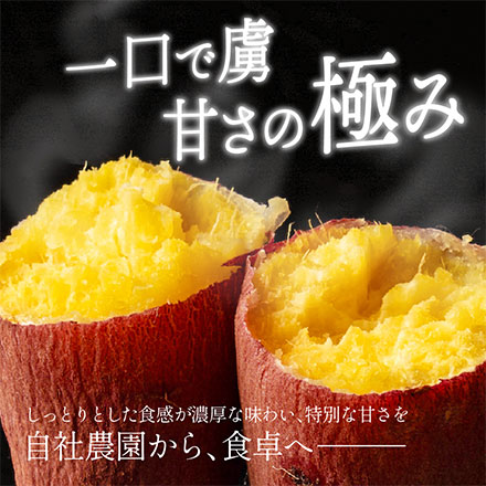 静岡県産 ”さつまいも” 紅はるか 5kg