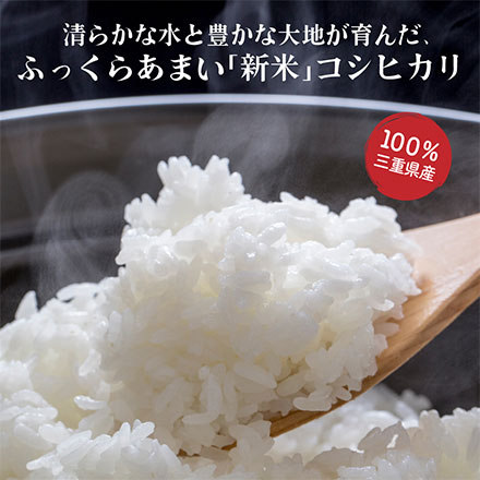 新米 三重県産 コシヒカリ 10kg ( 5kg×2 ) 令和7年産