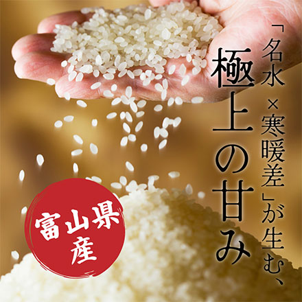 【白米】富山県産 コシヒカリ 10kg(5kg×2袋)