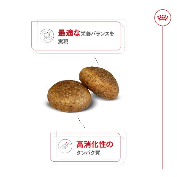 ロイヤルカナン マキシ アダルト（大型犬専用フード 成犬用） 4kg