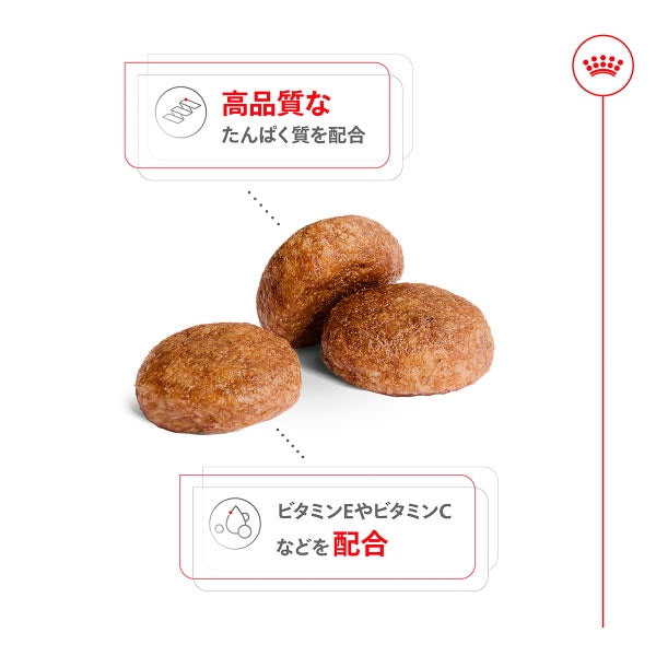 ロイヤルカナン ミディアム アダルト 7+（中型犬専用フード 中高齢犬用） 4kg