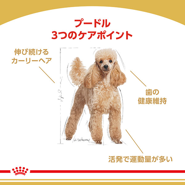 ロイヤルカナン プードル 専用フード 成犬用 800g