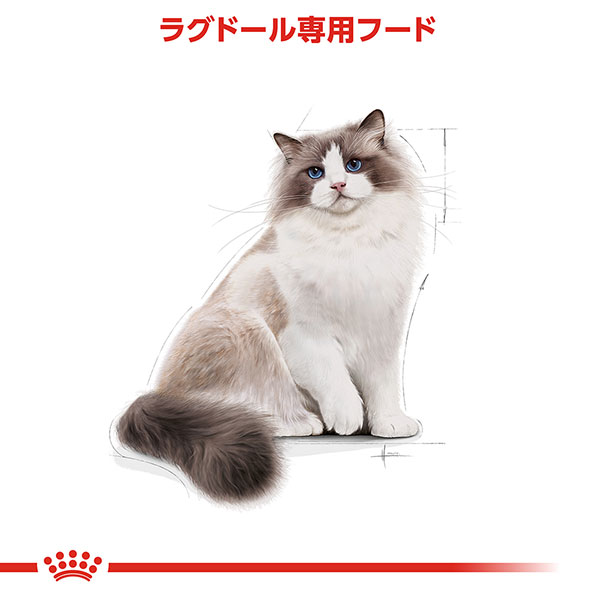 ロイヤルカナン ラグドール専用フード 成猫用 2kg