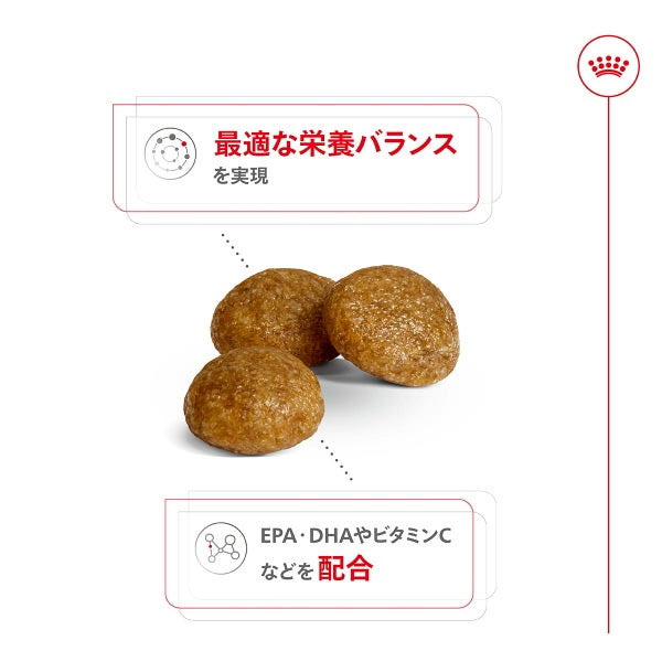 ロイヤルカナン エクストラ スモール アダルト 8+（超小型犬専用フード 中高齢犬用） 500g