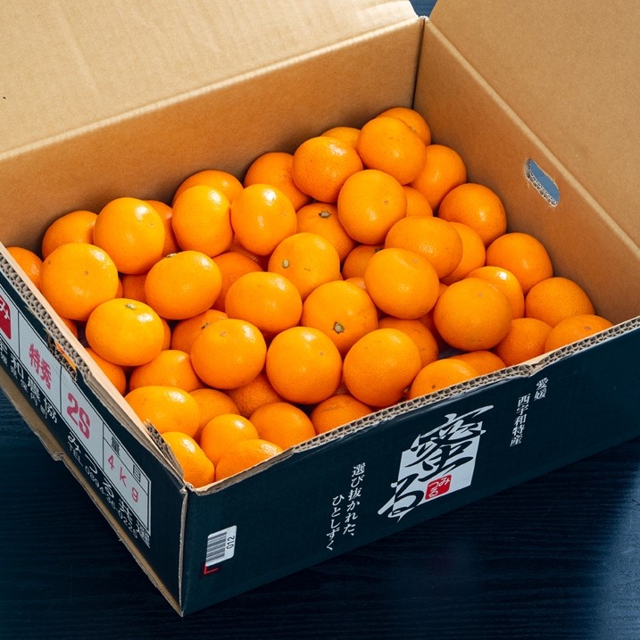 糖度12度以上『小玉 蜜るみかん』愛媛県産 特秀 2S-S 約4kg 産地箱 風袋込 JAにしうわ ※常温